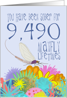26th Anniversary of Addiction Recovery, in Mayfly Years card