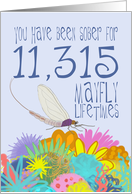31st Anniversary of Addiction Recovery, in Mayfly Years card