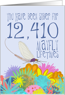 34th Anniversary of Addiction Recovery, in Mayfly Years card