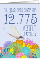 35th Anniversary of Addiction Recovery, in Mayfly Years card
