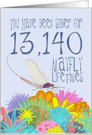 36th Anniversary of Addiction Recovery, in Mayfly Years card