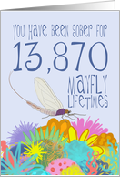 38th Anniversary of Addiction Recovery, in Mayfly Years card