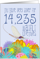 39th Anniversary of Addiction Recovery, in Mayfly Years card