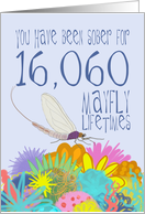 44th Anniversary of Addiction Recovery, in Mayfly Years card