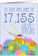 47th Anniversary of Addiction Recovery, in Mayfly Years card