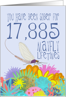 49th Anniversary of Addiction Recovery, in Mayfly Years card