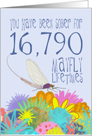 46th Birthday of Addiction Recovery, in Mayfly Years card
