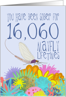 44th Birthday of Addiction Recovery, in Mayfly Years card