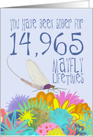 41st Birthday of Addiction Recovery, in Mayfly Years card