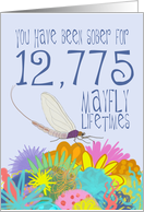 35th Birthday of Addiction Recovery, in Mayfly Years card