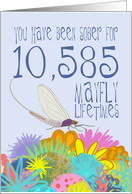 29th Birthday of Addiction Recovery, in Mayfly Years card