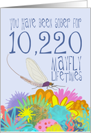 28th Birthday of Addiction Recovery, in Mayfly Years card