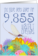 27th Birthday of Addiction Recovery, in Mayfly Years card