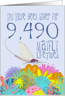 26th Birthday of Addiction Recovery, in Mayfly Years card