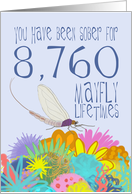 24th Birthday of Addiction Recovery, in Mayfly Years card