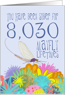 22nd Birthday of Addiction Recovery, in Mayfly Years card