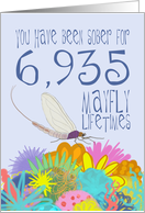 19th Birthday of Addiction Recovery, in Mayfly Years card