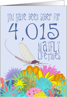 11th Birthday of Addiction Recovery, in Mayfly Years card
