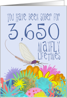 10th Birthday of Addiction Recovery, in Mayfly Years card