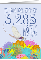 9th Birthday of Addiction Recovery, in Mayfly Years card