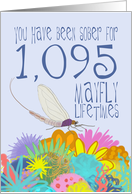 3rd Birthday of Addiction Recovery, in Mayfly Years card