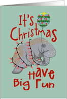 Manatee Christmas card