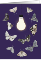 Moths to a Lightbulb Blank Note card