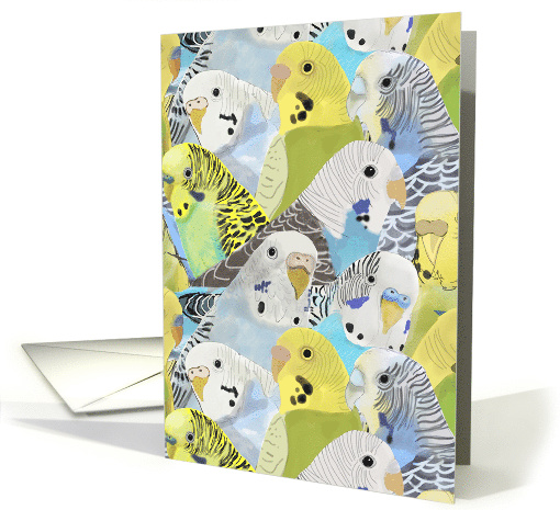 Budgie Parakeets Blank Note card (1555918)