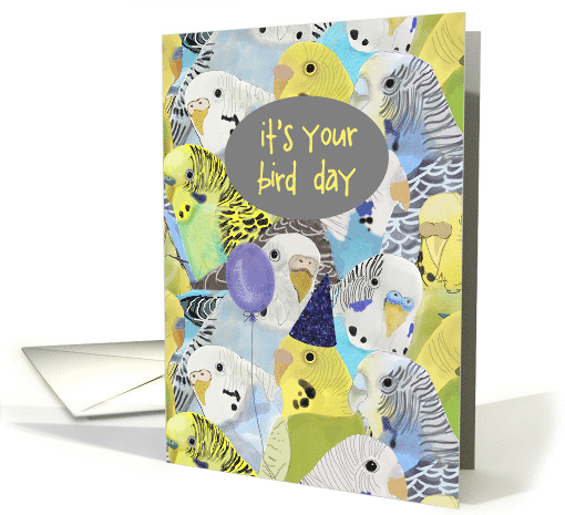 It's Your Bird Day (Birthday) card (1556064)