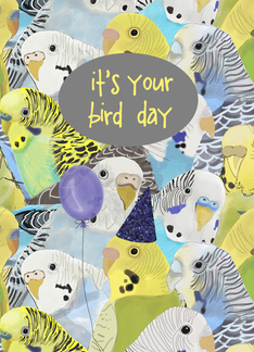 It's Your Bird Day ...