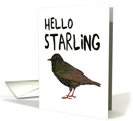 Hello Starling (Darling) card (1571342)
