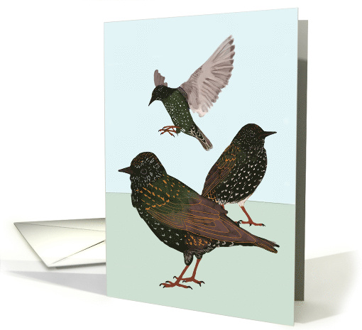 Starlings Welcome Home to Work card (1571348)