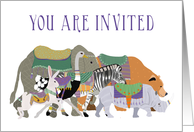 Zoo Birthday Party Invitation card