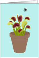 Venus Flytrap Trying to Catch a Fly card