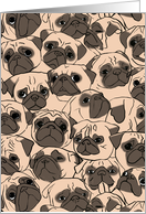 Fawn Pug Drawing Blank Note card