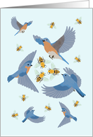 The Birds and the Bees Pregnancy Congratulations card