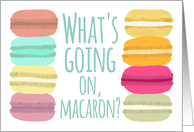 What’s Going On, Macaron? card