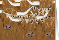 Cow Pun Belated Birthday card