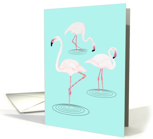 Flamingos in Water Blank Note card (1626880)
