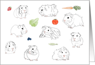 Loss of Pet Guinea Pig Sympathy card