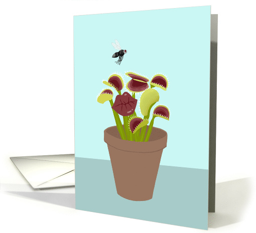 Funny Romantic Venus Fly Trap Anniversary card (1631930)