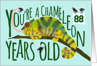 88 Year Old Birthday Getting Older Chameleon Pun card