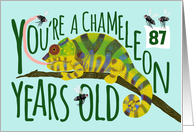 87 Year Old Birthday Getting Older Chameleon Pun card