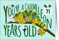 71 Year Old Birthday Getting Older Chameleon Pun card