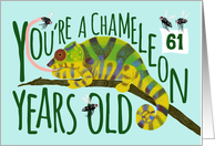 61 Year Old Birthday Getting Older Chameleon Pun card