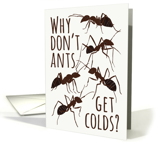 Ant Pun Get Well from a Cold card (1660672)