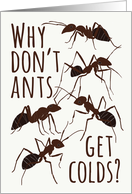 Ant Pun Get Well from a Cold card