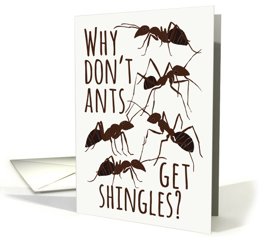 Ant Pun Get Well from Shingles card (1660676)