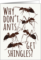 Ant Pun Get Well from Shingles card