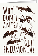 Ant Pun Get Well from Pneumonia card